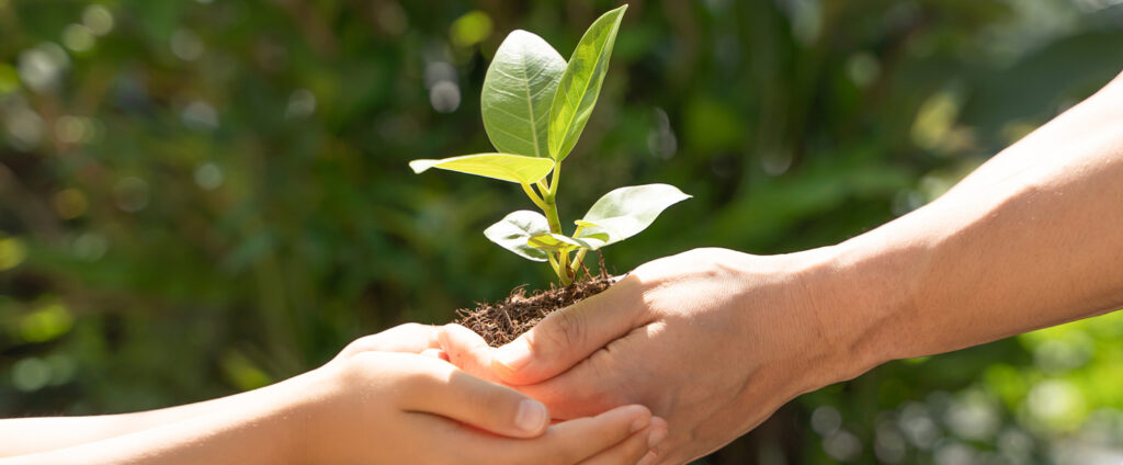 死刑制度廃止は、公正で人道的な社会の実現に向けた重要な一歩です